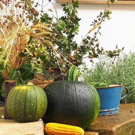 Hébergement de vacances U Holoubku *